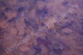 /album/photogallery/dsc-0047-watermarked-jpg/